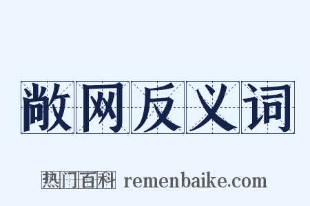 敞网反义词是什么意思的图片